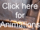 Animated Sequences